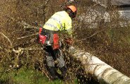 günstige Gartenpflege Husum